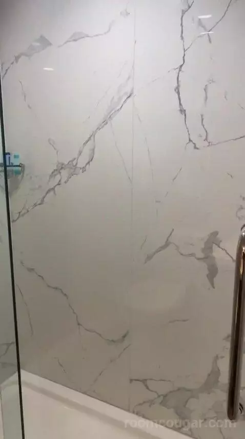 Standard (#207) bathroom picture #6