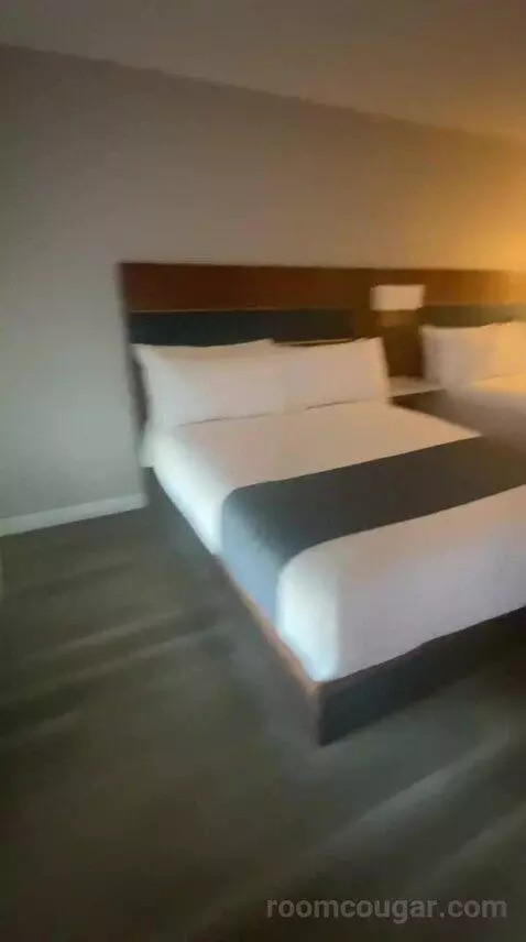 Standard (#203) bed picture #2