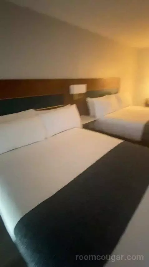 Standard (#203) bed picture #3