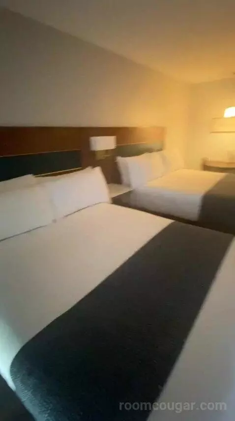 Standard (#203) bed picture #4