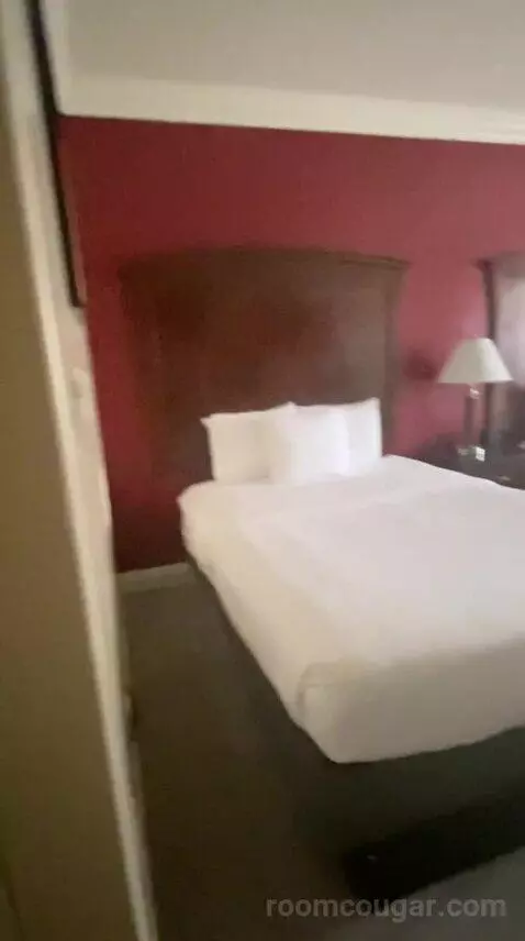 Standard (#110) bed picture #3