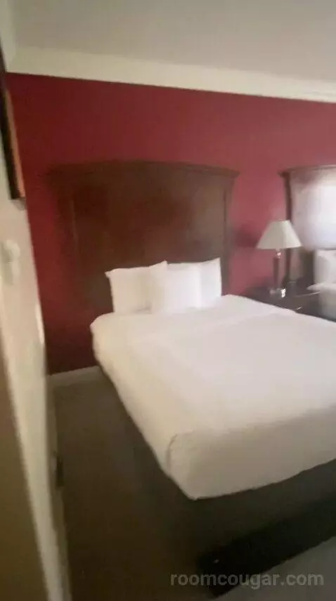Standard (#110) bed picture #4