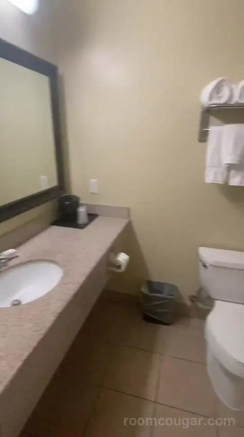 Standard (#110) bathroom picture #2