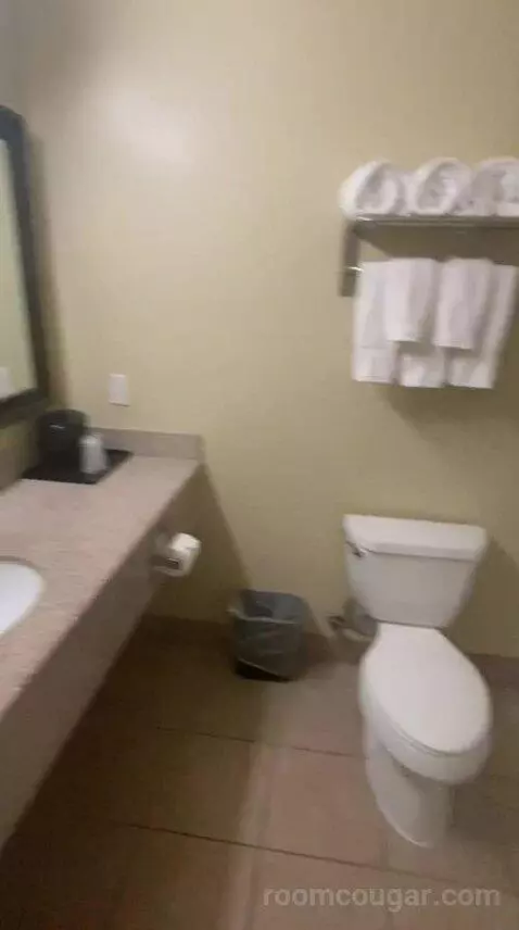 Standard (#110) bathroom picture #3