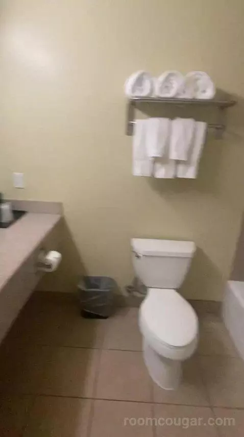 Standard (#110) bathroom picture #4