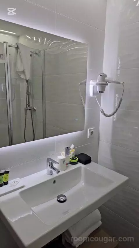 Double Room 1 Bed (#103) bathroom picture #5