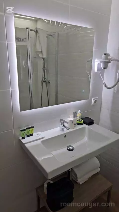 Double Room 1 Bed (#103) bathroom picture #7