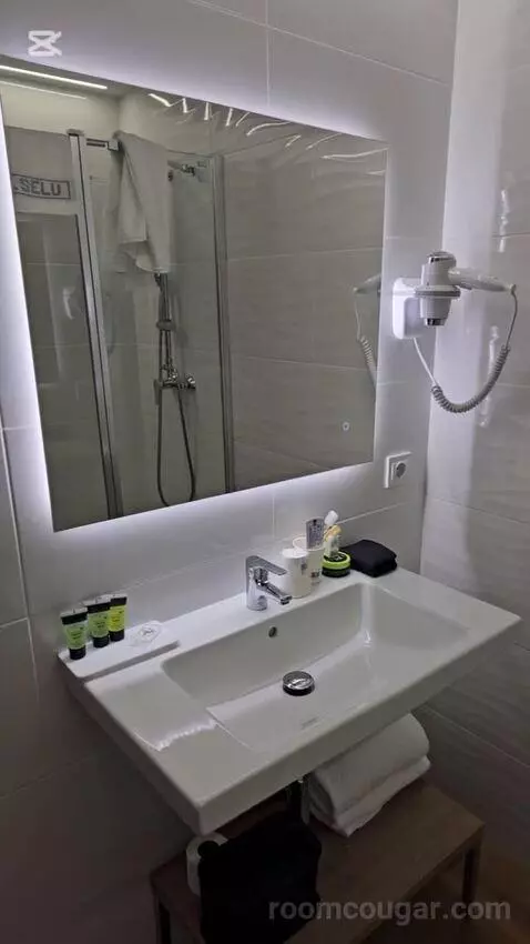 Double Room 1 Bed (#103) bathroom picture #8
