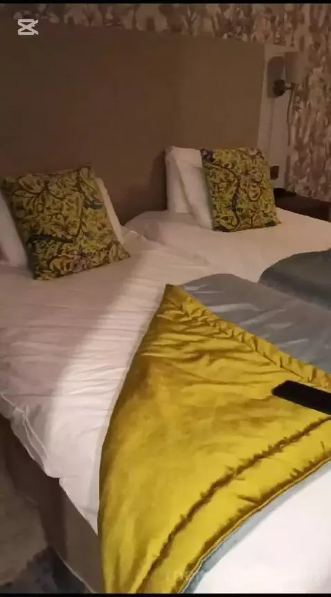 Standard (#345) bed picture #4