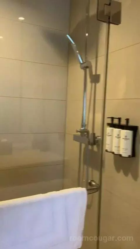 Single Room with Bathroom (#413) bathroom picture #7
