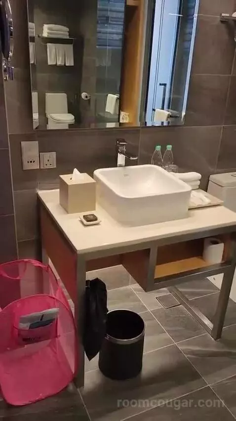 2 Queen Beds Room (#3010) bathroom picture #8