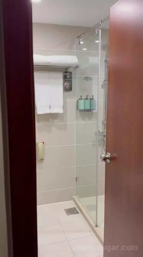 Standard (#4215) bathroom picture #2