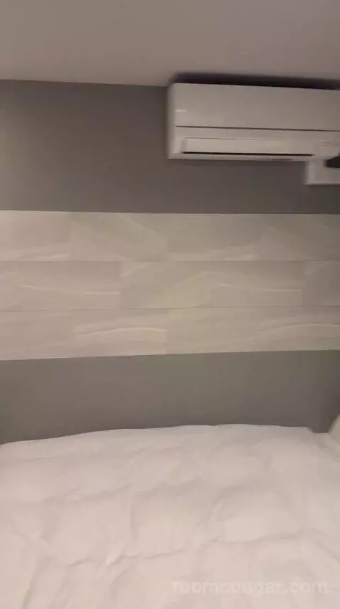 Standard (#503) bed picture #3