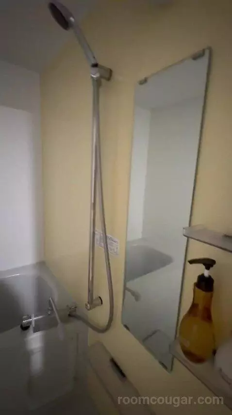 Triple Room (#107) bathroom picture #4