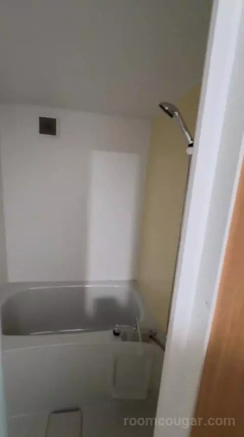 Triple Room (#107) bathroom picture #5