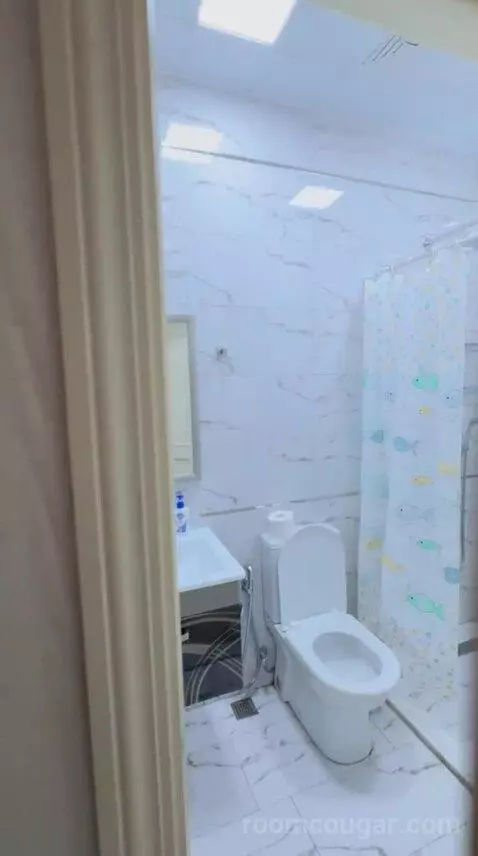 Double Room (#212) bathroom picture #2