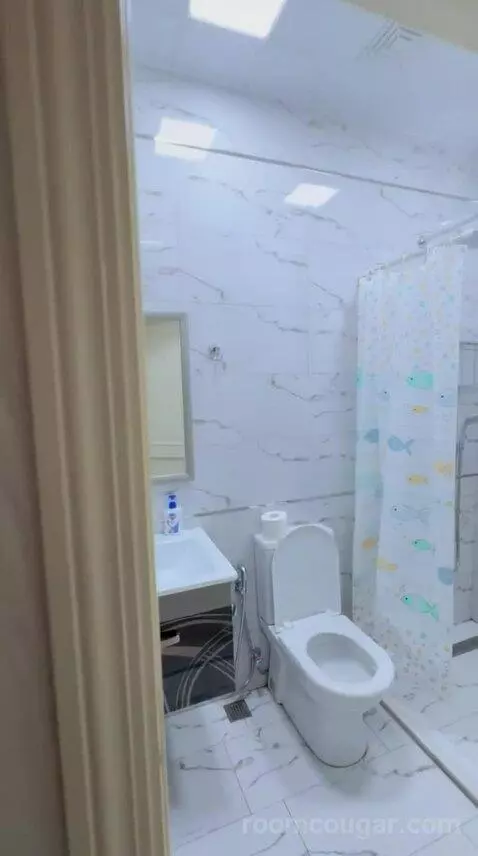 Double Room (#212) bathroom picture #3