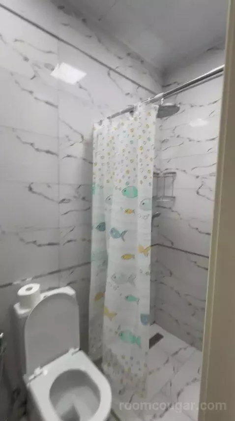 Double Room (#212) bathroom picture #4