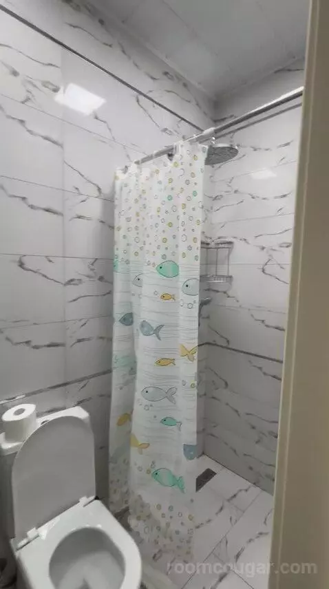 Double Room (#212) bathroom picture #5