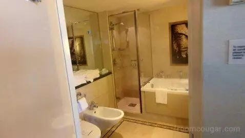 Owner Suite (#1630) bathroom picture #1