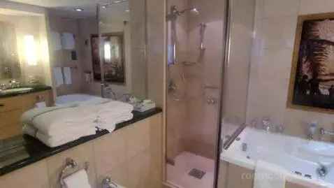 Owner Suite (#1630) bathroom picture #8