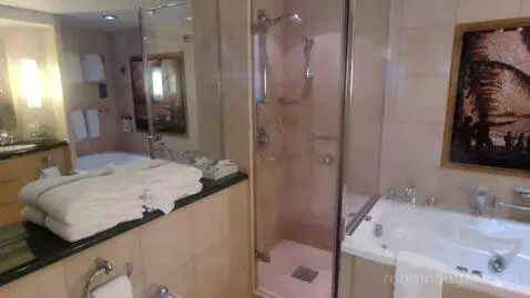 Owner Suite (#1630) bathroom picture #9