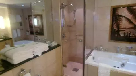 Owner Suite (#1630) bathroom picture #10