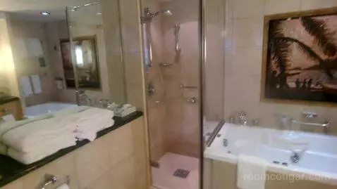 Owner Suite (#1630) bathroom picture #11
