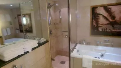 Owner Suite (#1630) bathroom picture #12
