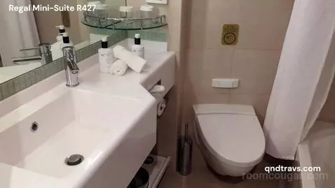 Mini-Suite (R427) bathroom picture #4