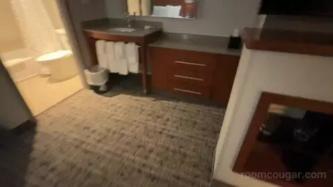 Double Room with Two Double Beds and Sofa Bed (#105) bathroom picture #2