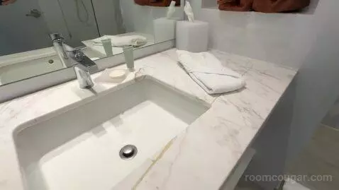 Deluxe King Room with Balcony and Ocean View (#608) bathroom picture #4