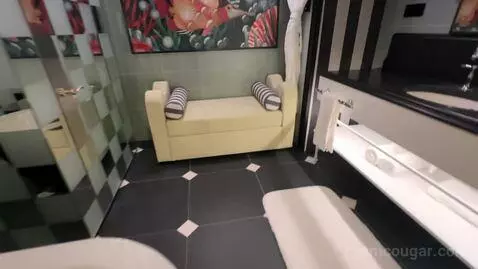 Fantastic King Suite with Opera View (#429) bathroom picture #9