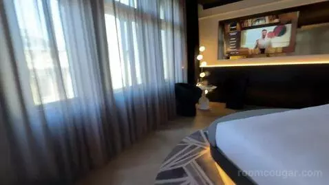 Fantastic King Suite with Opera View (#429) bed picture #2