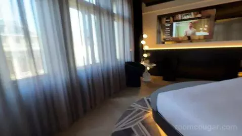 Fantastic King Suite with Opera View (#429) bed picture #3
