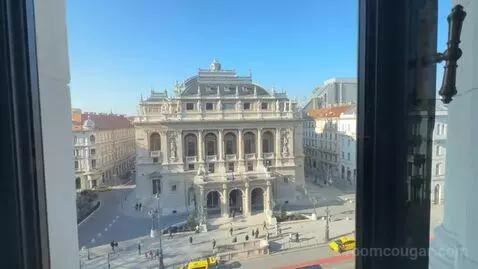 Fantastic King Suite with Opera View (#429) view picture #6