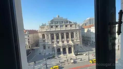 Fantastic King Suite with Opera View (#429) view picture #9