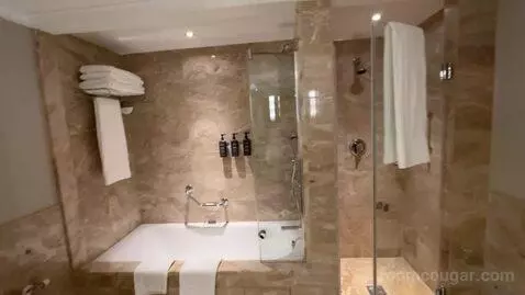 Deluxe Suite, Club Lounge Access, 1 Bedroom Larger Suite (#571) bathroom picture #4