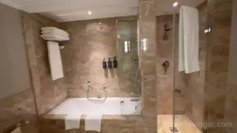 Deluxe Suite, Club Lounge Access, 1 Bedroom Larger Suite (#571) bathroom picture #5