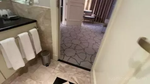 Deluxe Suite, Club Lounge Access, 1 Bedroom Larger Suite (#571) bathroom picture #7