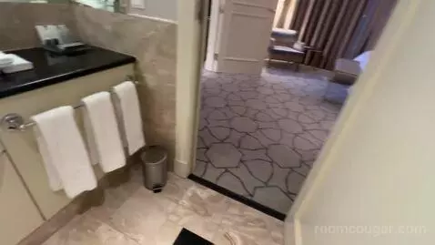 Deluxe Suite, Club Lounge Access, 1 Bedroom Larger Suite (#571) bathroom picture #8