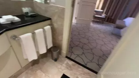 Deluxe Suite, Club Lounge Access, 1 Bedroom Larger Suite (#571) bathroom picture #9