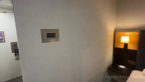 Queen Guest Room (#525) picture #24