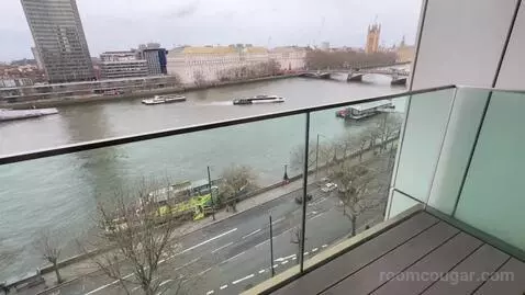 Deluxe King Room with Balcony and River View - High Floor (#1007) view picture #2