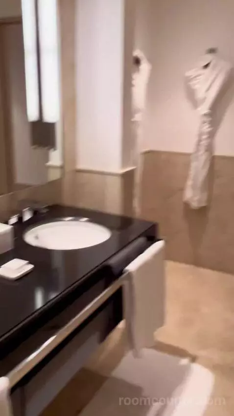 Premier King Suite with Sofa Bed and Marina View - Club Level (#1502) bathroom picture #10