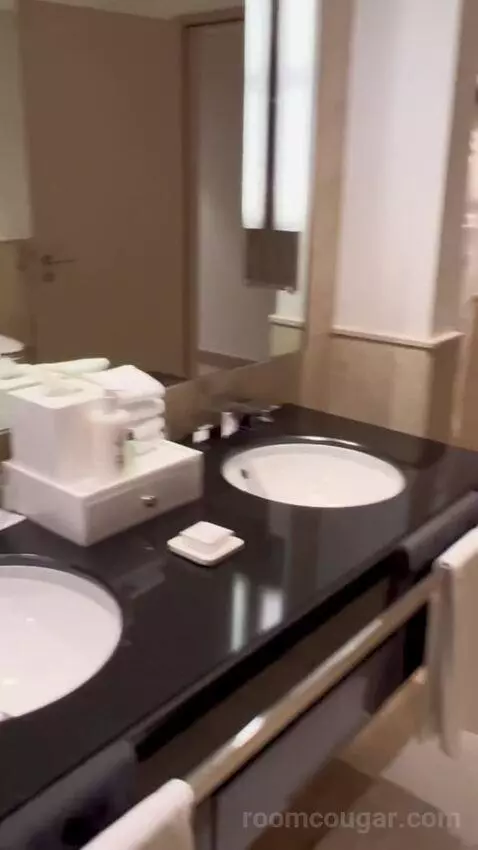 Premier King Suite with Sofa Bed and Marina View - Club Level (#1502) bathroom picture #12