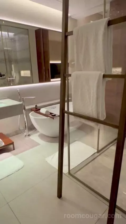 Superior King Suite with Downtown View Including Signature St. Regis Butler Service (#804) picture #19