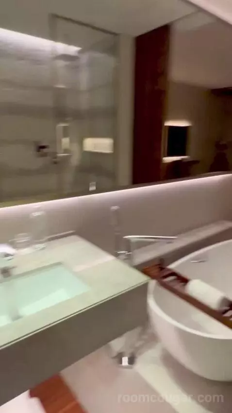 Superior King Suite with Downtown View Including Signature St. Regis Butler Service (#804) bathroom picture #8