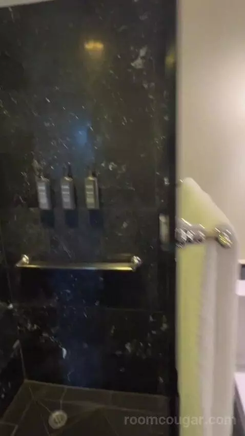 Grand Executive King Suite with Club Lounge Access bathroom picture #7