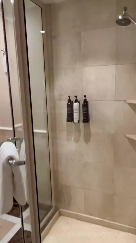 Executive Sydney Harbour King (#2112) bathroom picture #1